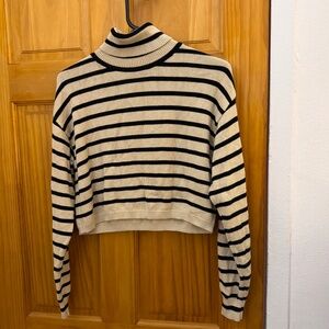 Stripe Turtle Neck